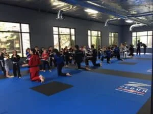 Evolution Martial Arts Academy facility image