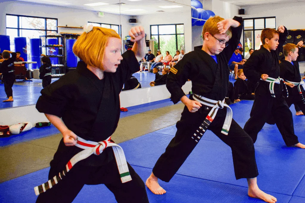 Evolution Martial Arts Academy facility image