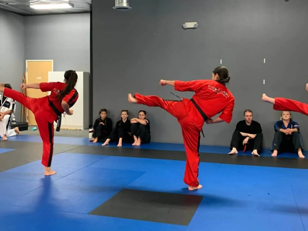 Evolution Martial Arts Academy facility image