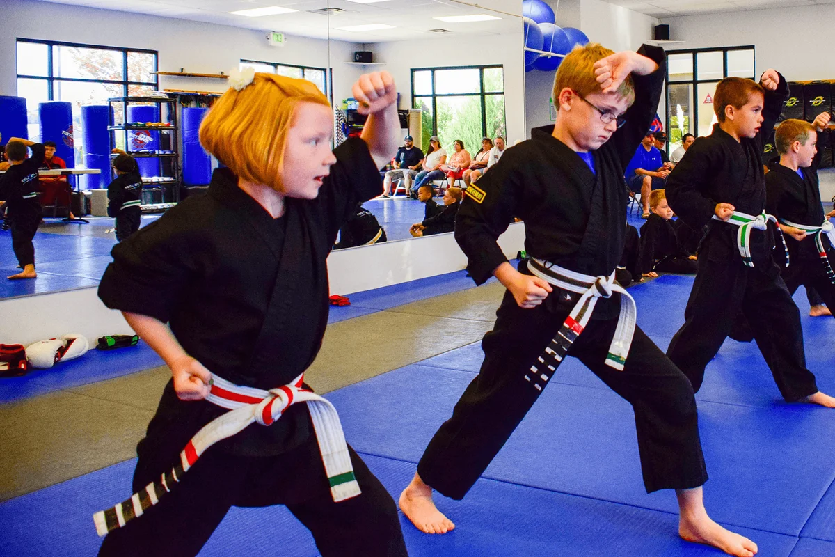 Evolution Martial Arts Academy facility image