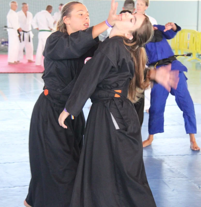 Institute of Traditional Martial Arts facility image