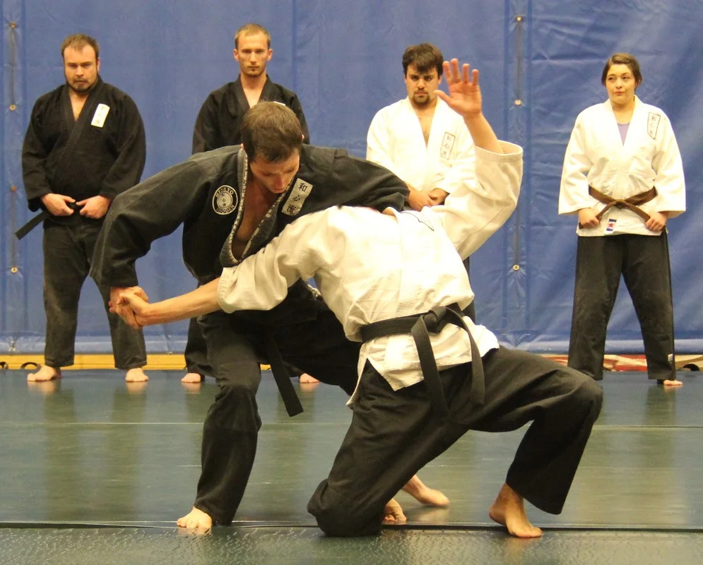 Institute of Traditional Martial Arts facility image