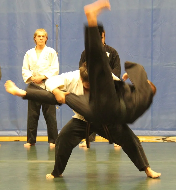 Institute of Traditional Martial Arts facility image