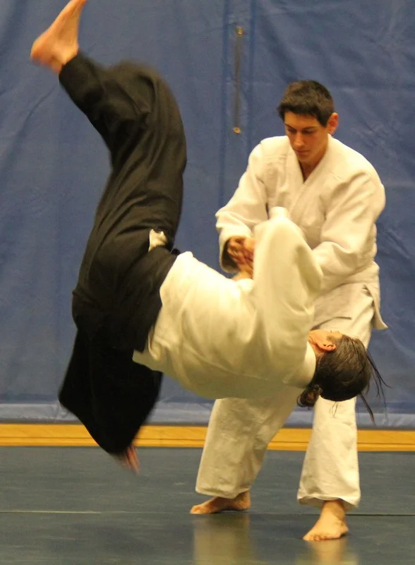Institute of Traditional Martial Arts facility image