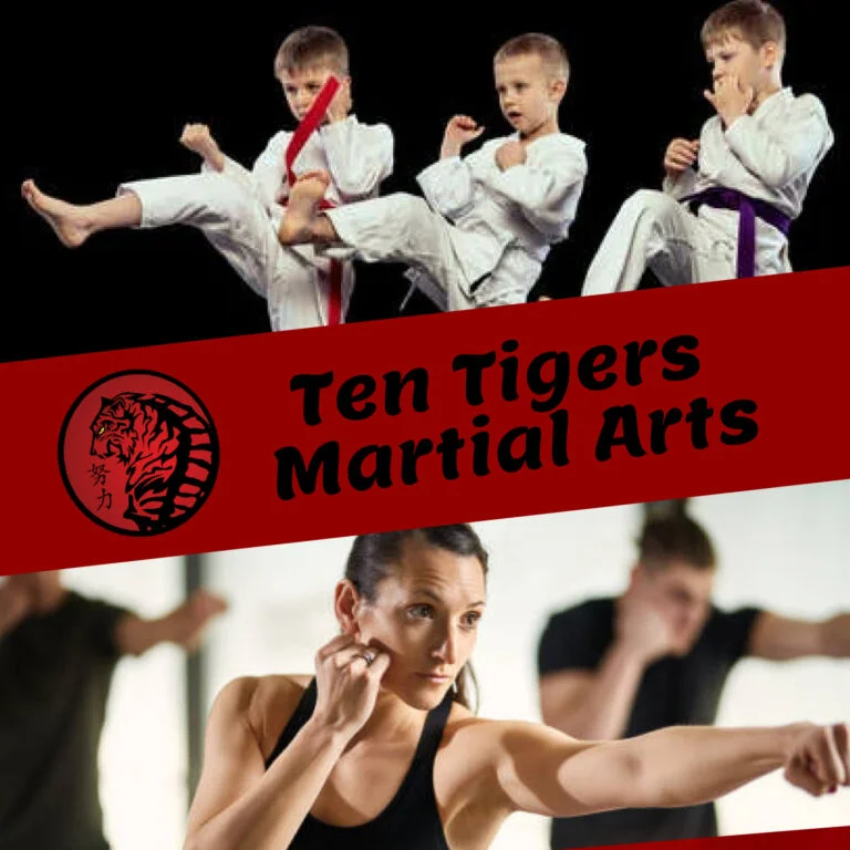 Ten Tigers Martial Arts academy logo