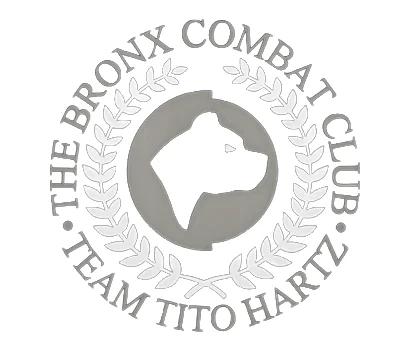 BRONX COMBAT CLUB academy logo