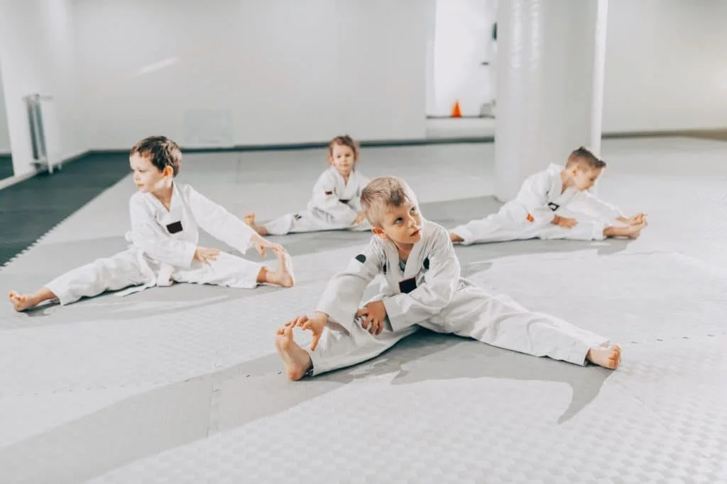 Hiawatha's Martial Arts & Fitness facility image