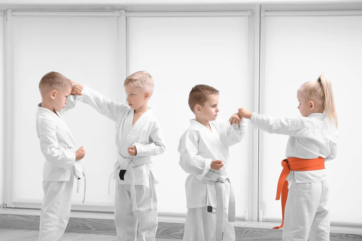 Hiawatha's Martial Arts & Fitness facility image