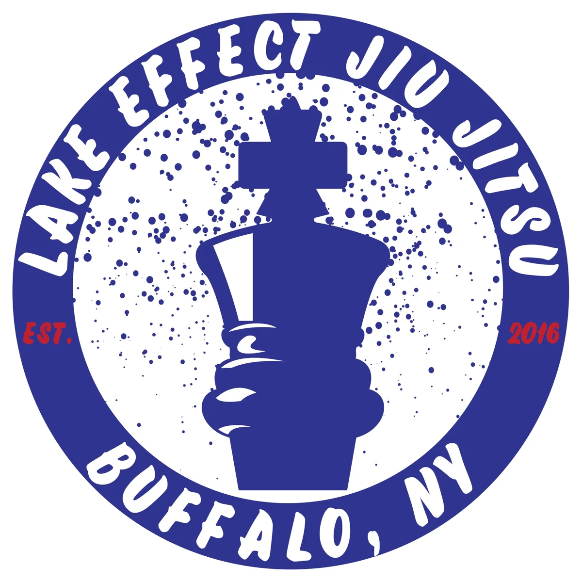 Lake Effect Martial Arts facility image