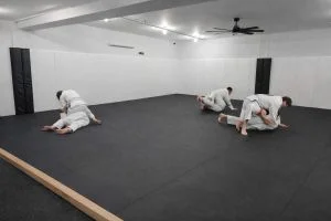 North East Brazilian Jiu-Jitsu & MMA facility image