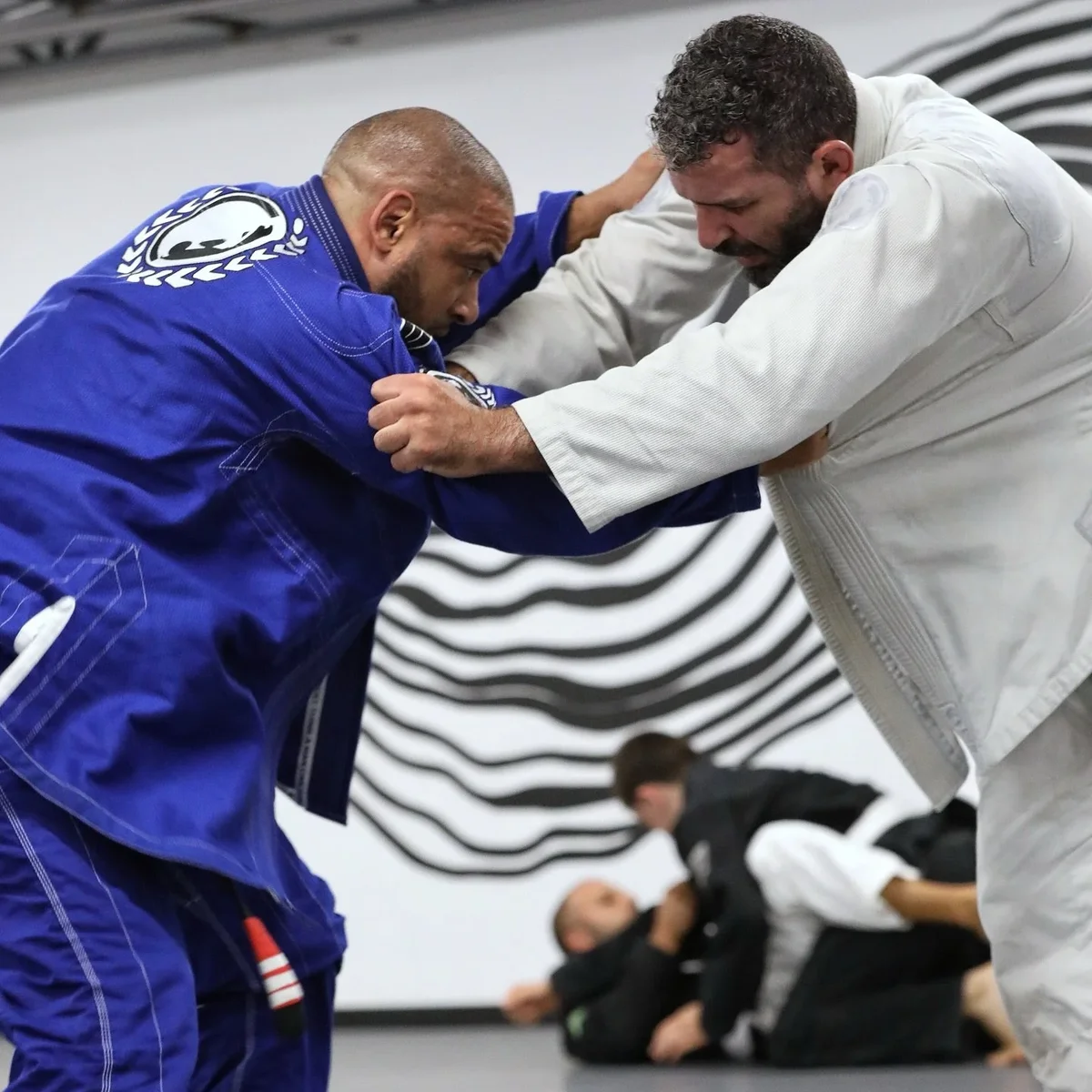 Renzo Gracie Rockland facility image