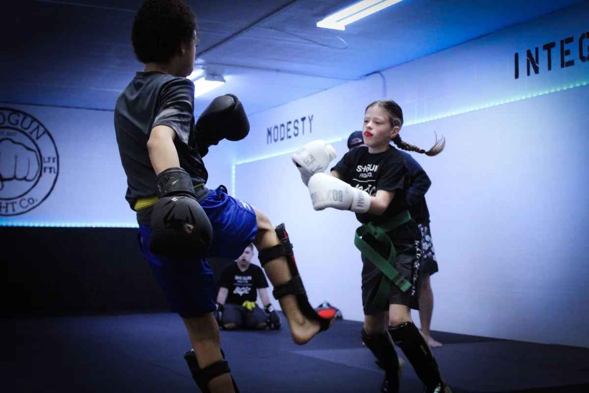 Shogun Martial Arts facility image