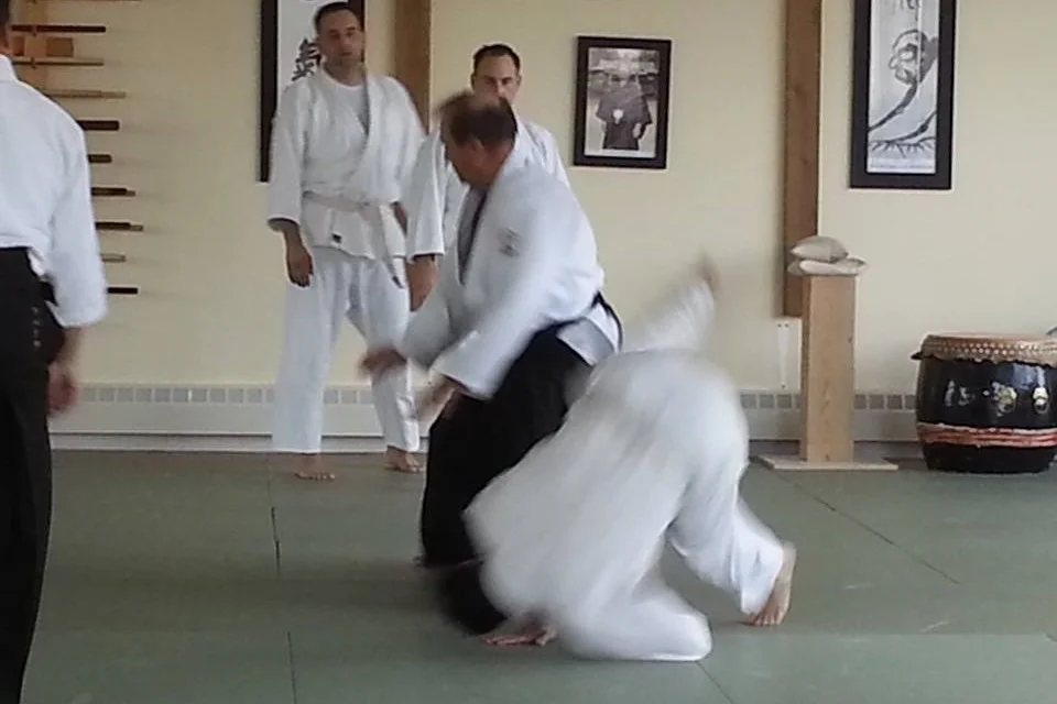 Still Mind Aikido facility image