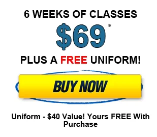 Syosset Martial Arts Center facility image