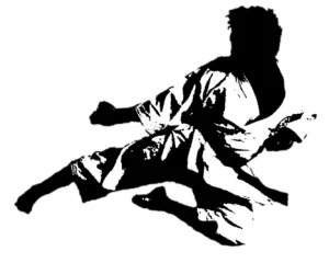 Syosset Martial Arts Center facility image