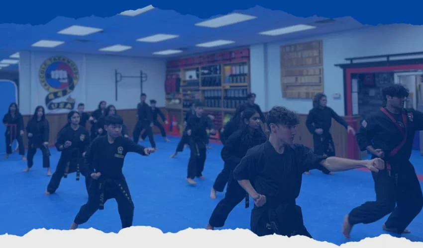Taecole Tae Kwon Do & Fitness facility image