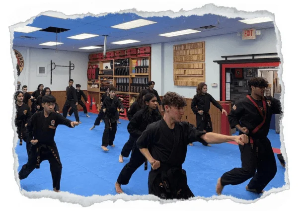 Taecole Tae Kwon Do & Fitness facility image