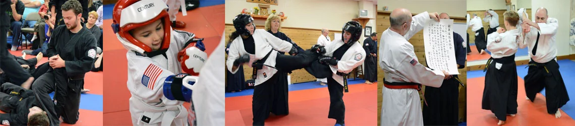 The Nokado School of Self Defense facility image
