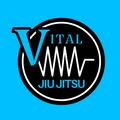 VITAL Jiu Jitsu academy logo