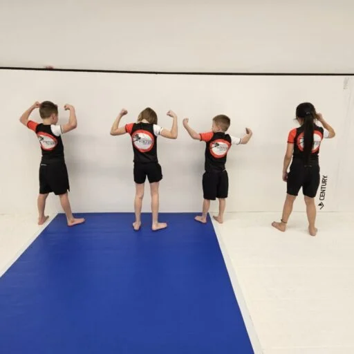 7 Virtues Jiu-Jitsu facility image