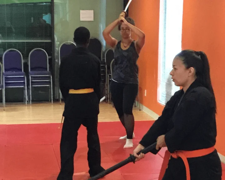 BUDO MARTIAL ARTS ACADEMY facility image