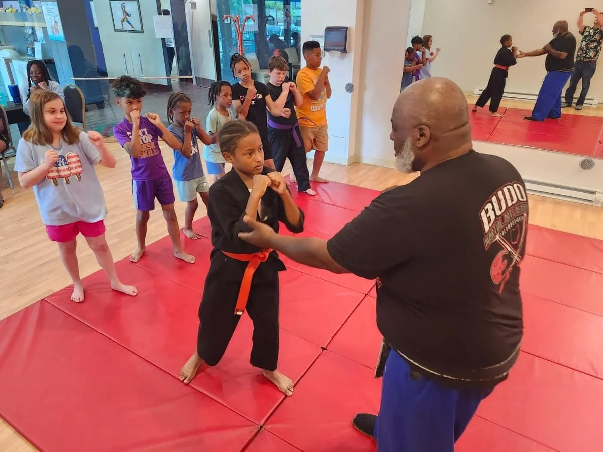 BUDO MARTIAL ARTS ACADEMY facility image