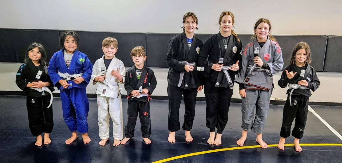 Functions of Brazilian Jiu Jitsu facility image