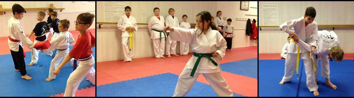 Great Lakes Martial Arts facility image