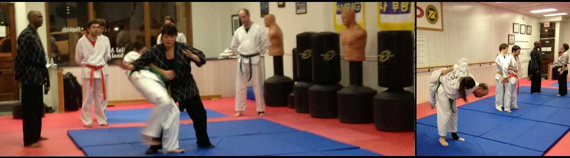 Great Lakes Martial Arts facility image