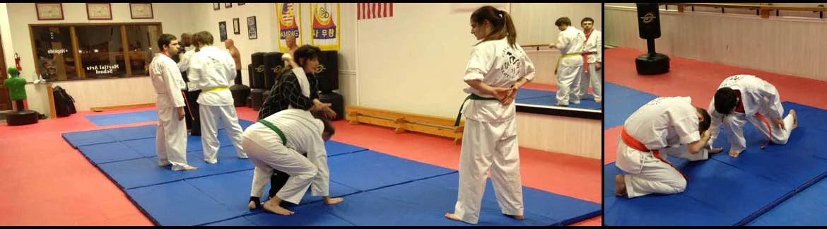 Great Lakes Martial Arts facility image