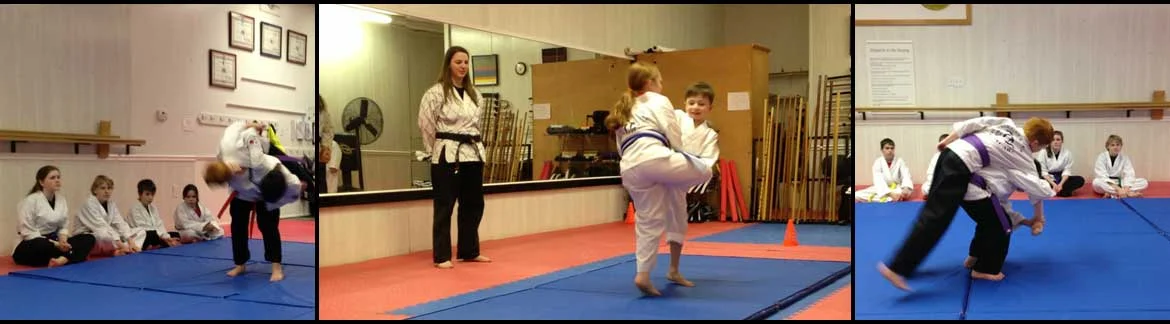 Great Lakes Martial Arts facility image