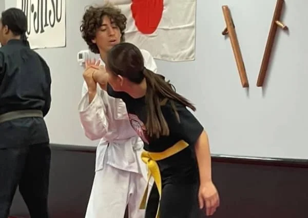Mayfield Academy of Self-Defense facility image