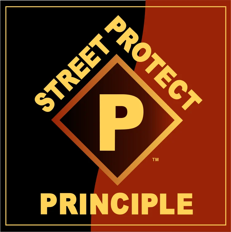 Petrosino Personal Protection Training Center academy logo
