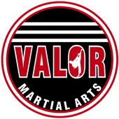 Valor Martial Arts academy logo