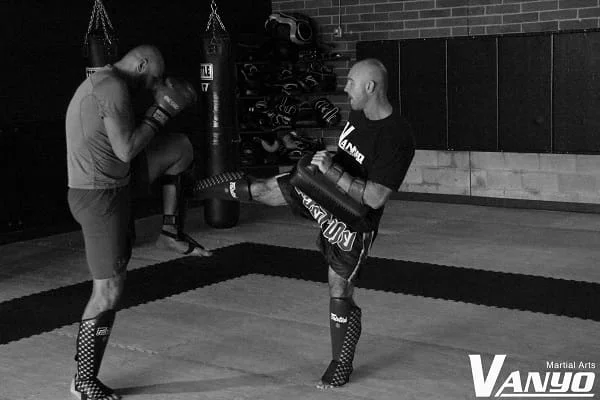 Vanyo Martial Arts facility image