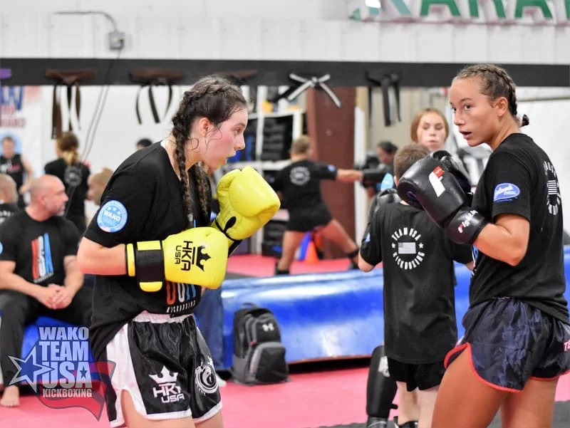 Vanyo Martial Arts facility image