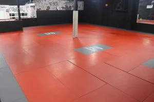 VISION Jiu Jitsu / Vision Fitness facility image