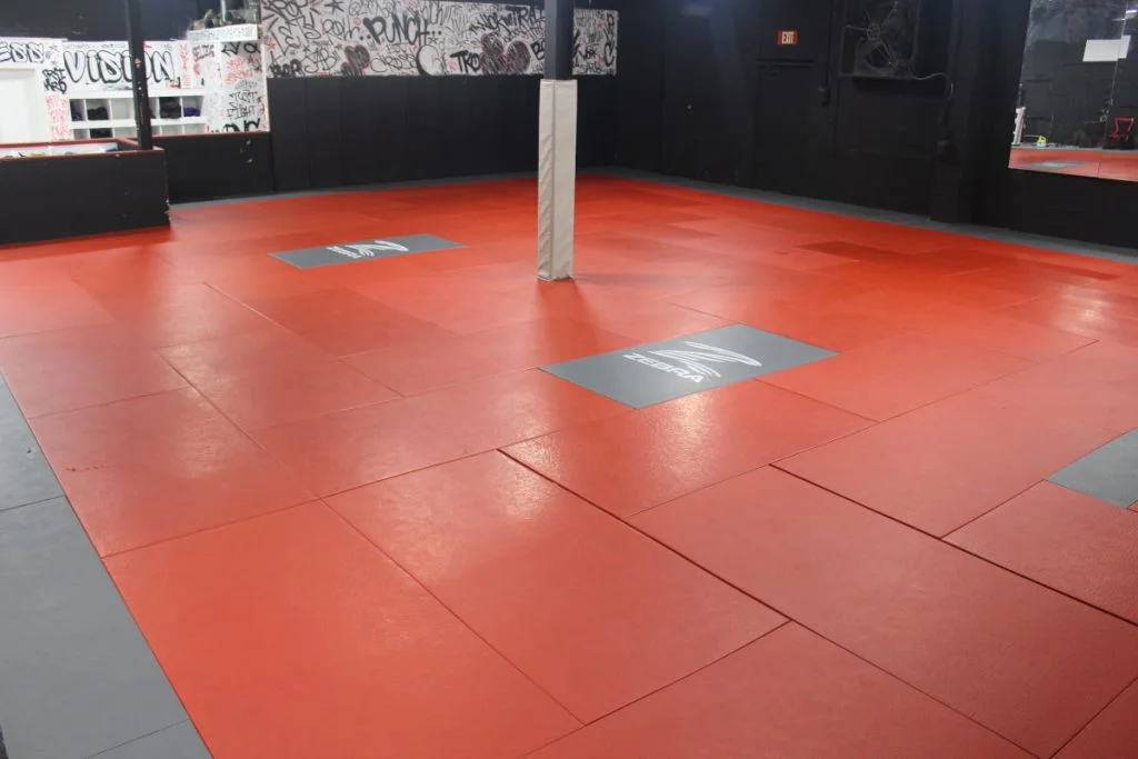 VISION Jiu Jitsu / Vision Fitness facility image