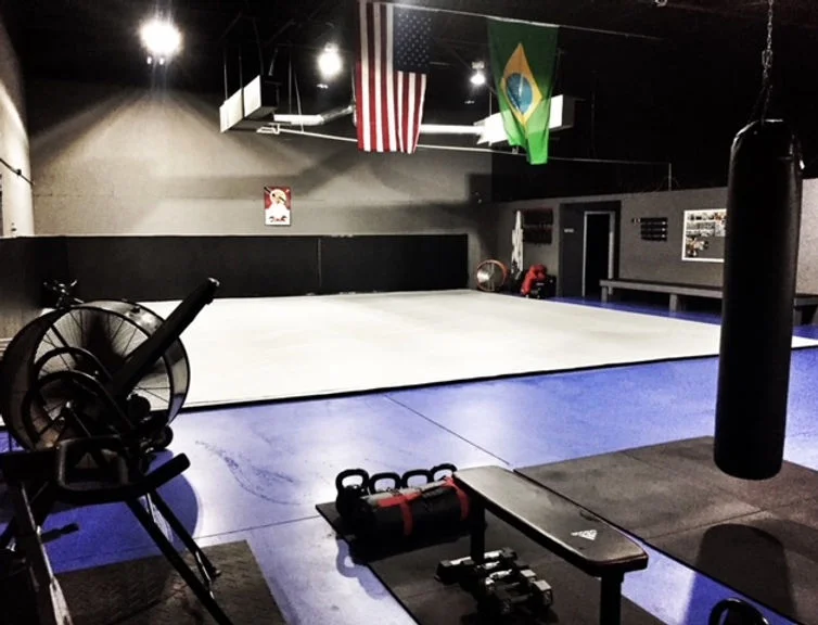 Apex Jiu-Jitsu Academy of Self Defense facility image
