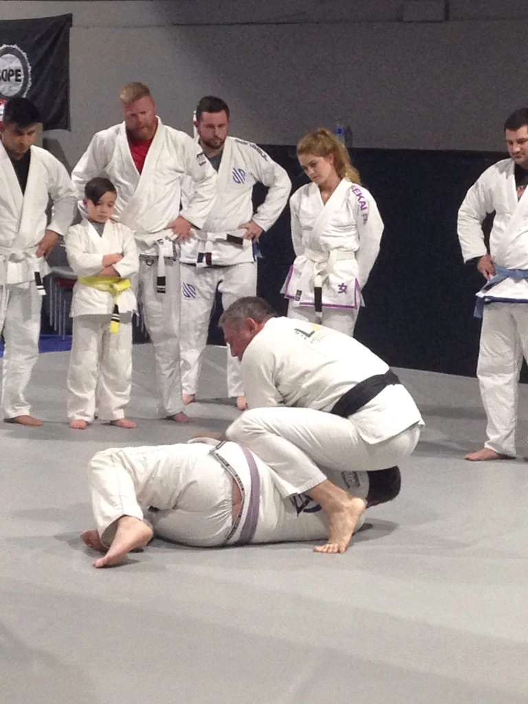 Apex Jiu-Jitsu Academy of Self Defense facility image