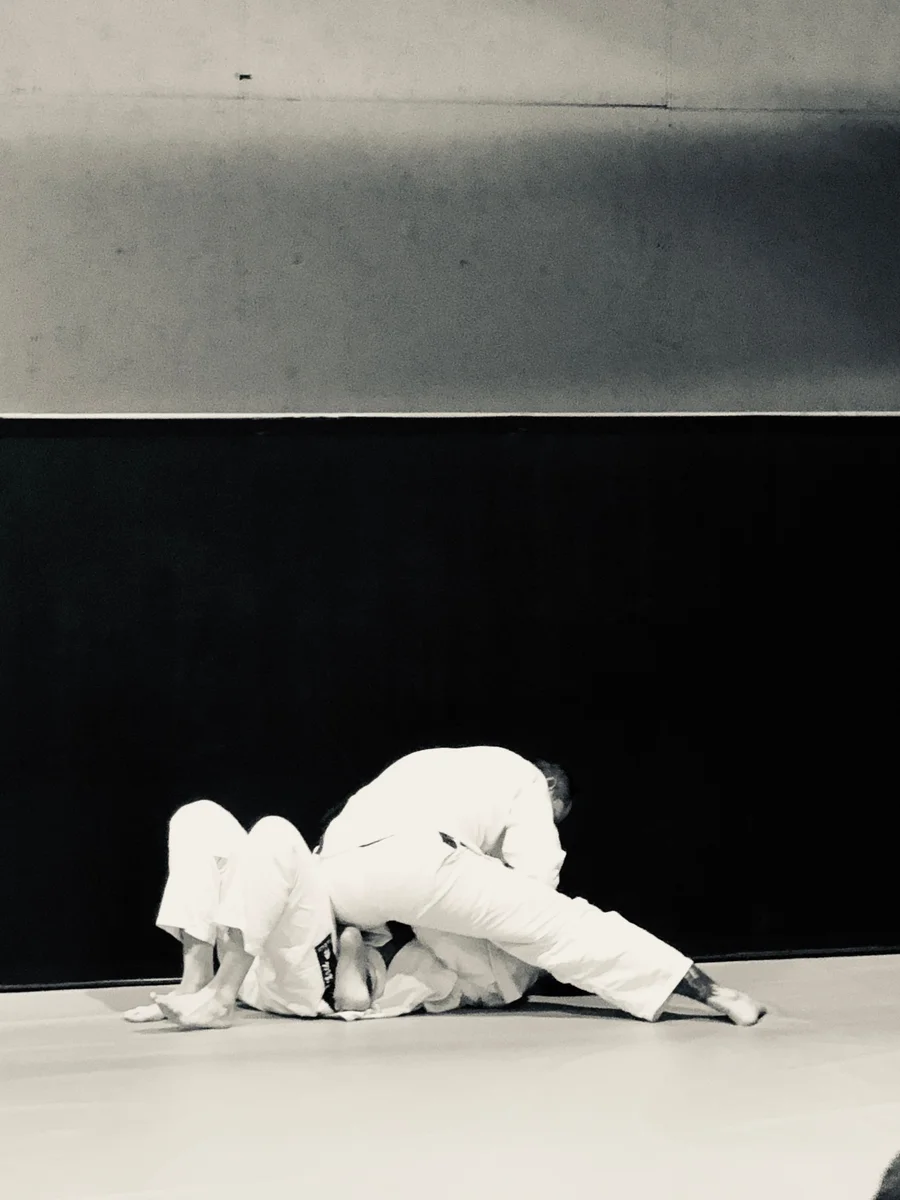 Apex Jiu-Jitsu Academy of Self Defense facility image