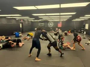 BLACK FLAG BRAZILIAN JIU-JITSU academy logo