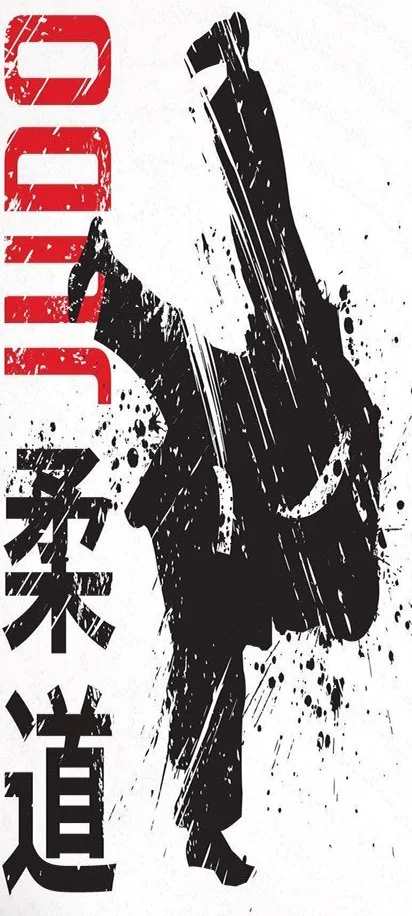 Blake Shults Martial Arts / Continuum Kickboxing (BJJ Gym context) academy logo