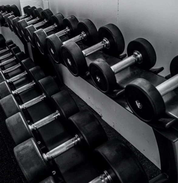 Carson Fight Fitness facility image