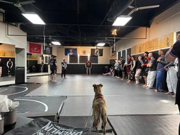 Gremlin Jiu-Jitsu facility image