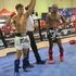 Killer Bees Kickboxing facility image