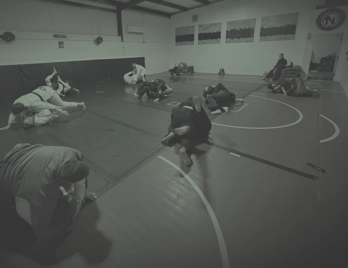 North Side Jiu Jitsu facility image