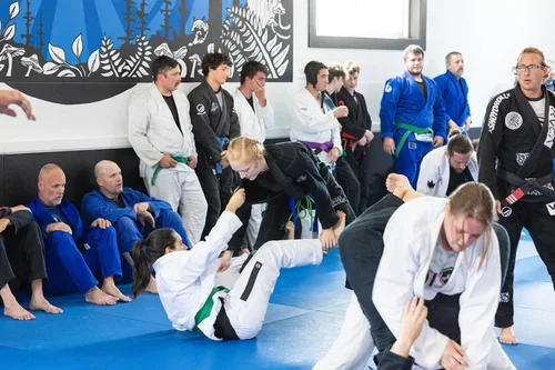 Adamson Bro's Jiu Jitsu facility image