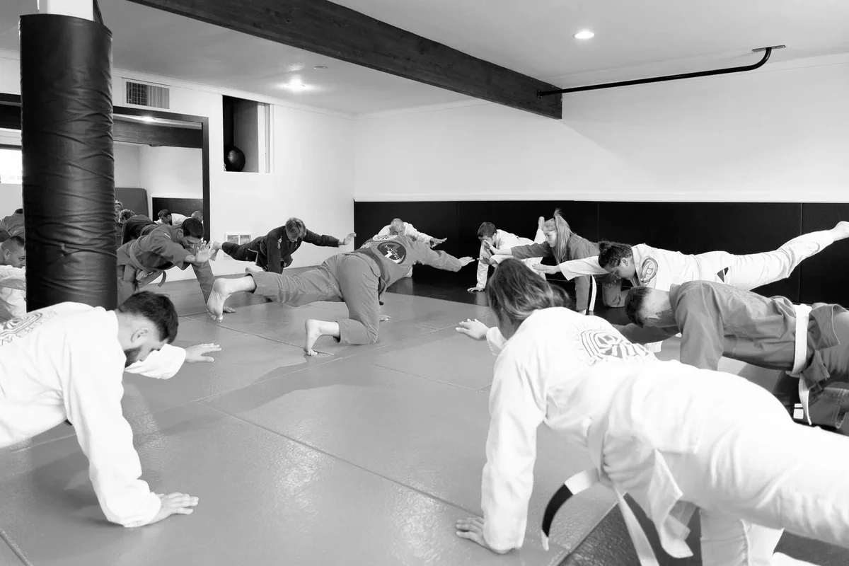 Adamson Bro's Jiu Jitsu facility image