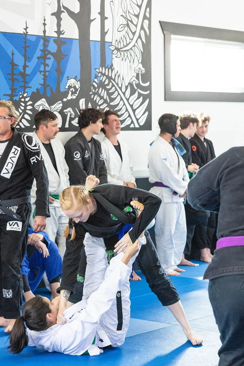 Adamson Bro's Jiu Jitsu facility image